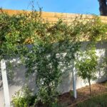 ACCUEIL Compressed 20251001 110419 150x150