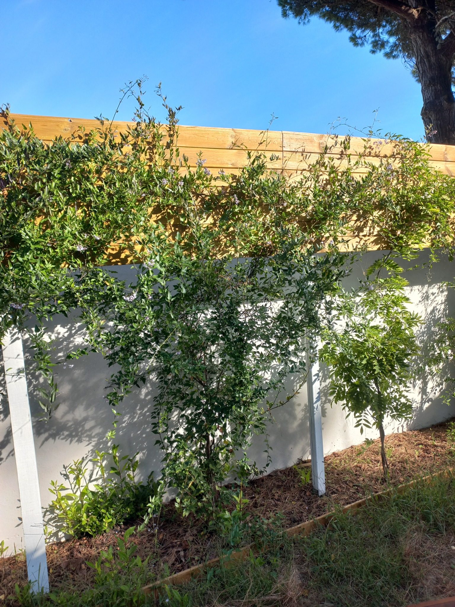 Compressed 20251001 110419